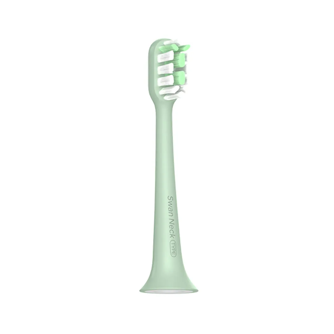 Gollo DuPont Toothbrush Head