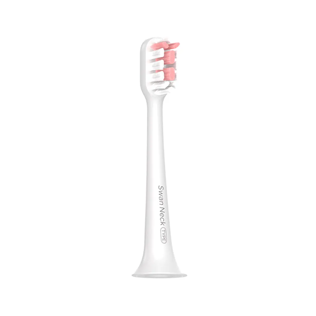 Gollo DuPont Toothbrush Head