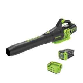 Greenworks Handeld Blower with 2Ah Battery & Charger