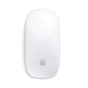 Magic Mouse Multi-Touch Surface