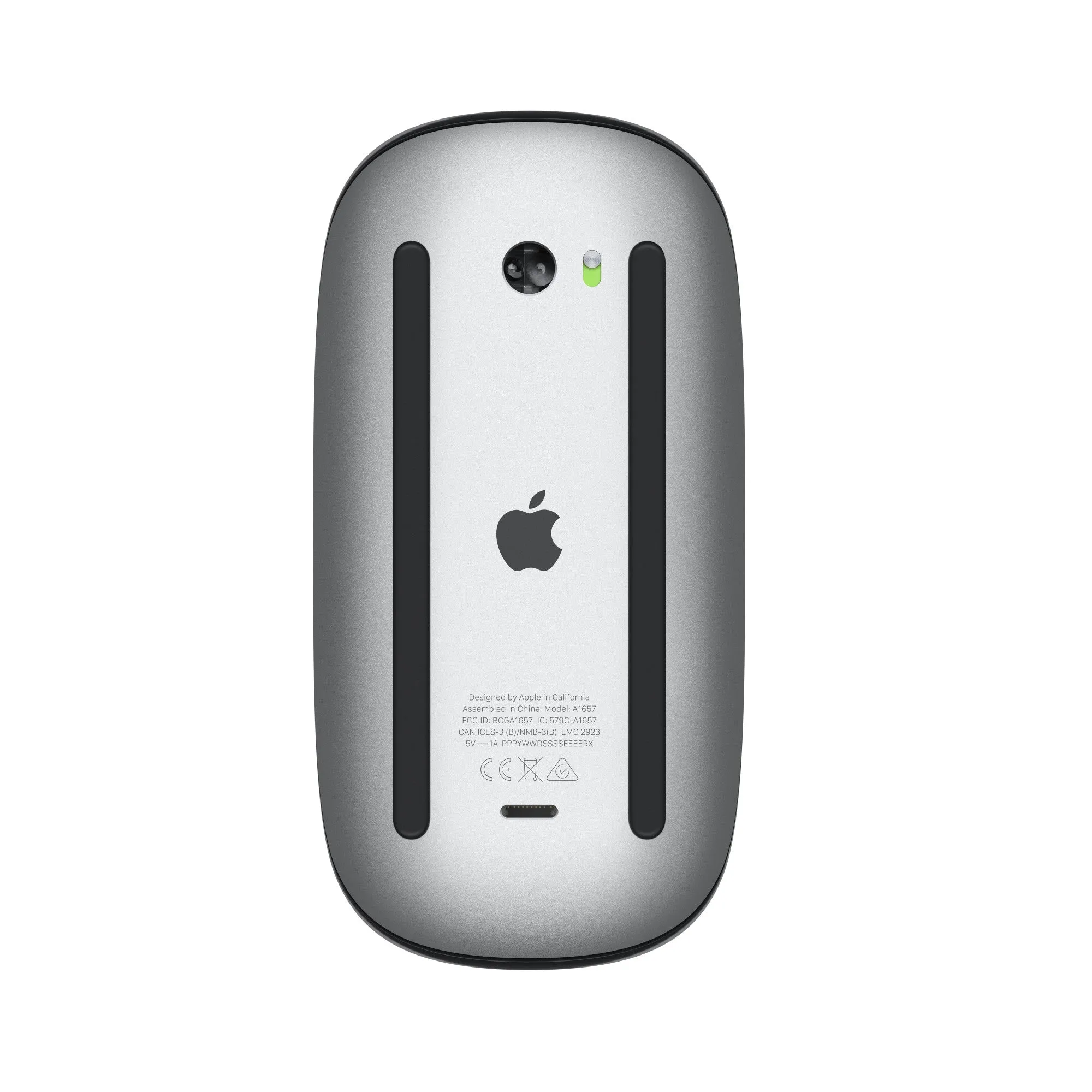 Magic Mouse Multi-Touch Surface