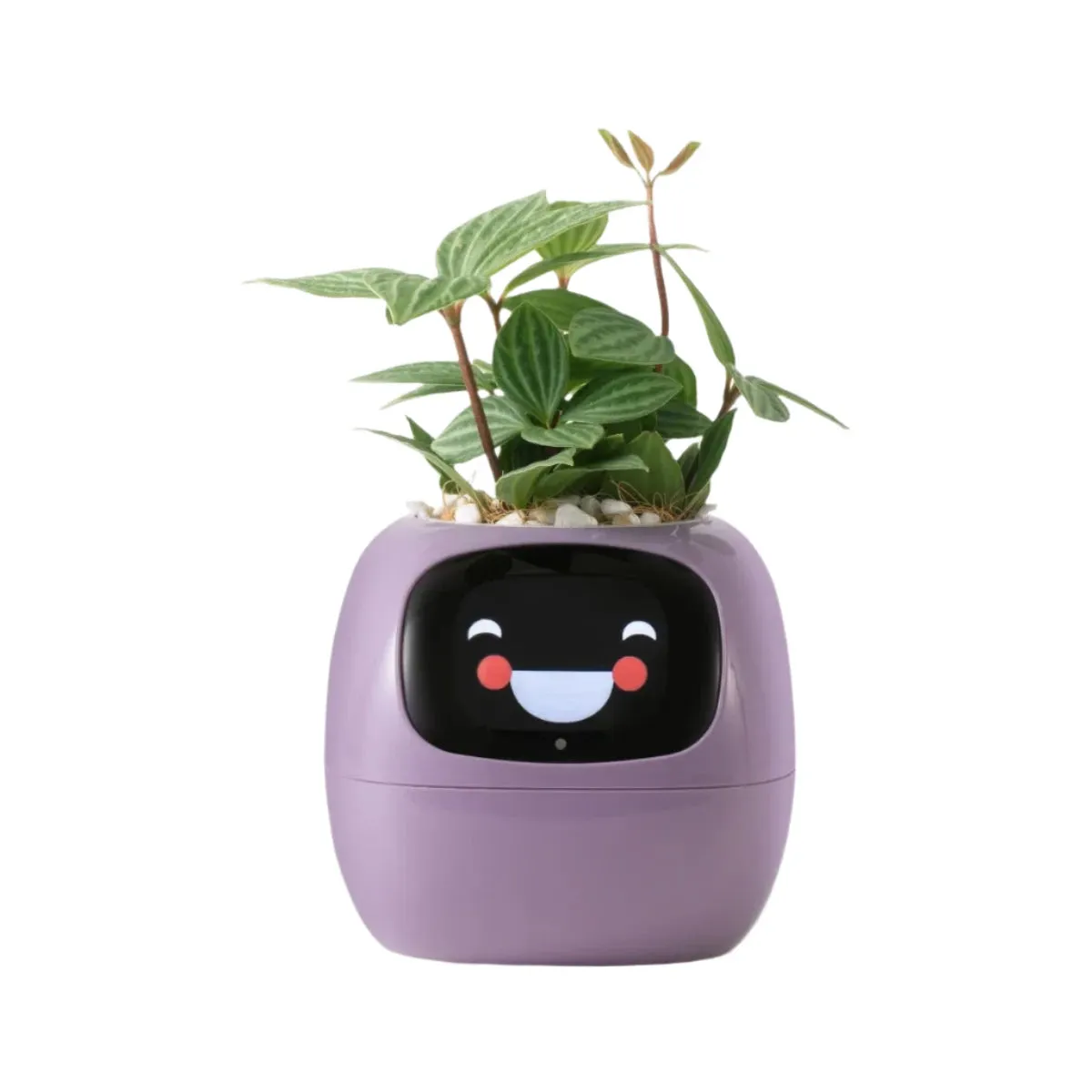 NextGen Ivy Smart Planter