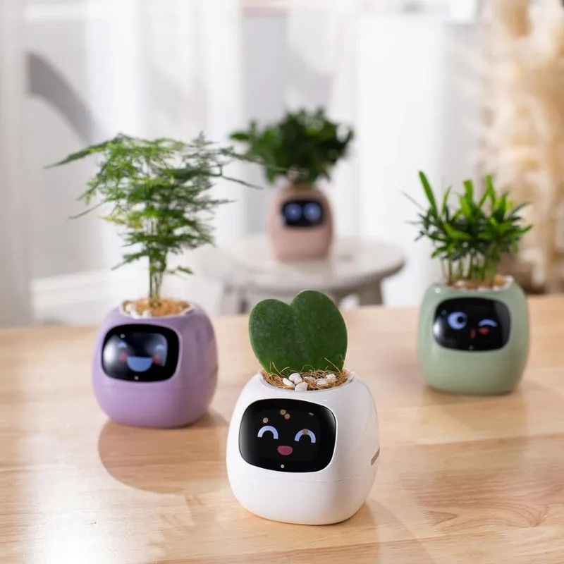 NextGen Ivy Smart Planter